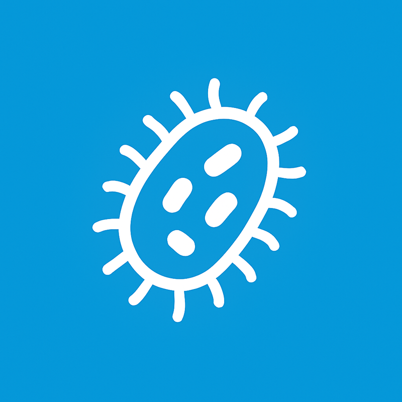 Bacterial Illustration