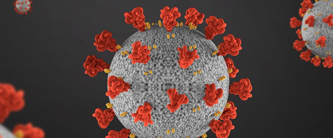 Corona Virus