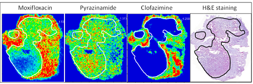 Dartois Lab Research Image