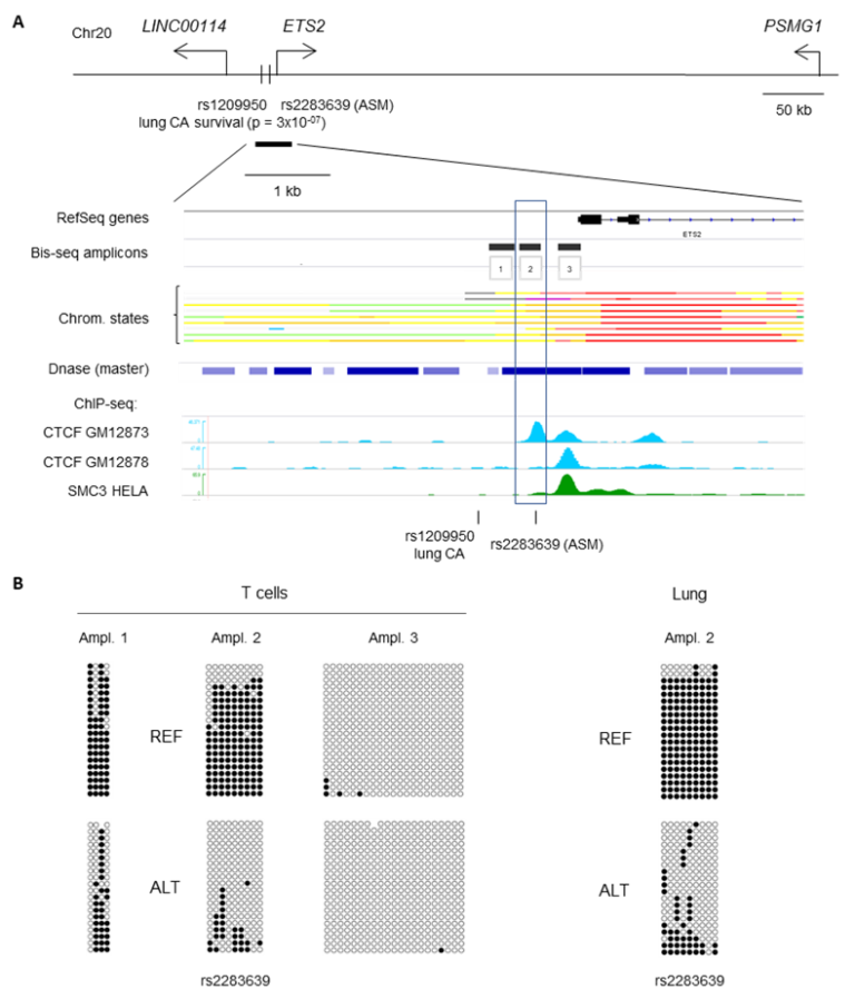 Core Epigenetic Infographic