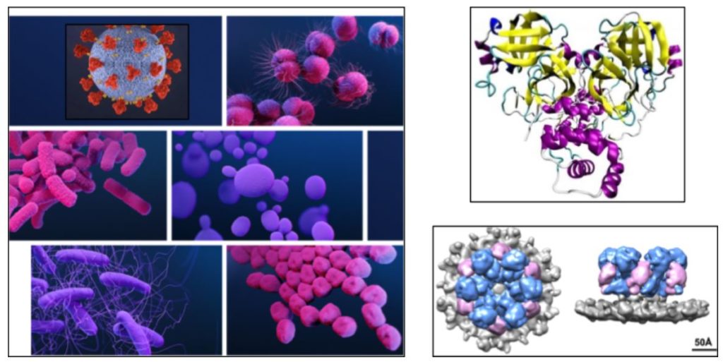 Research in the Perlin Lab