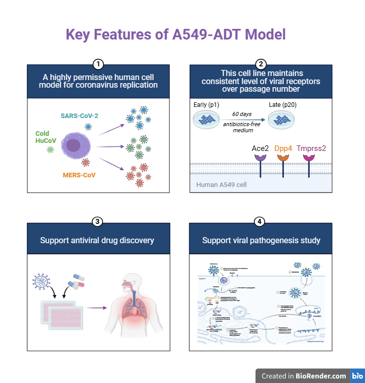 Illustration of Key Features of SARS-CoV-2-CW