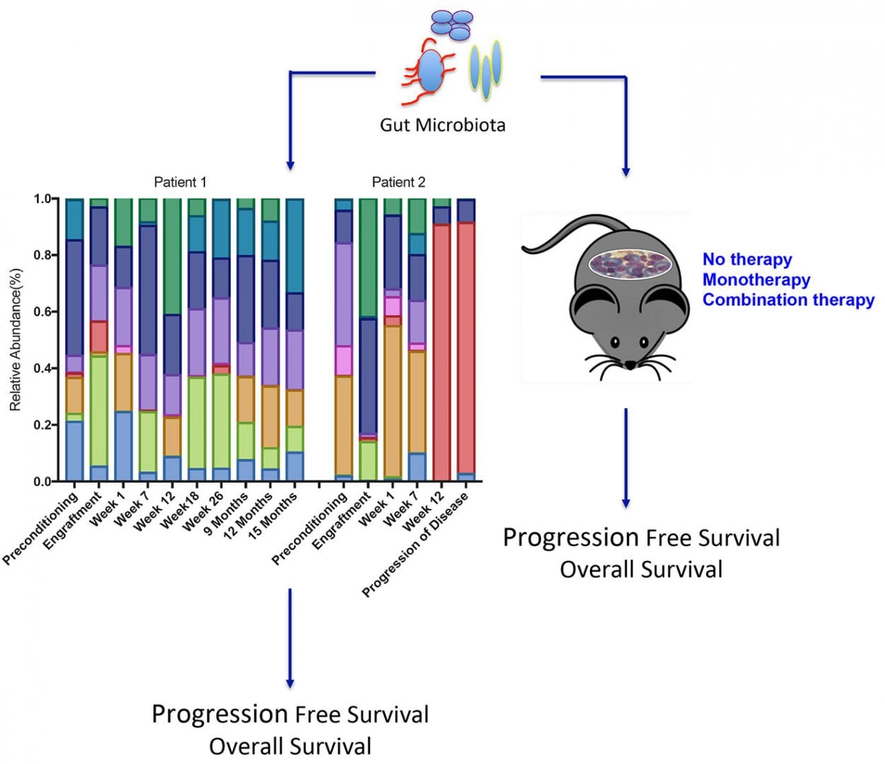 Microbiome Illustration