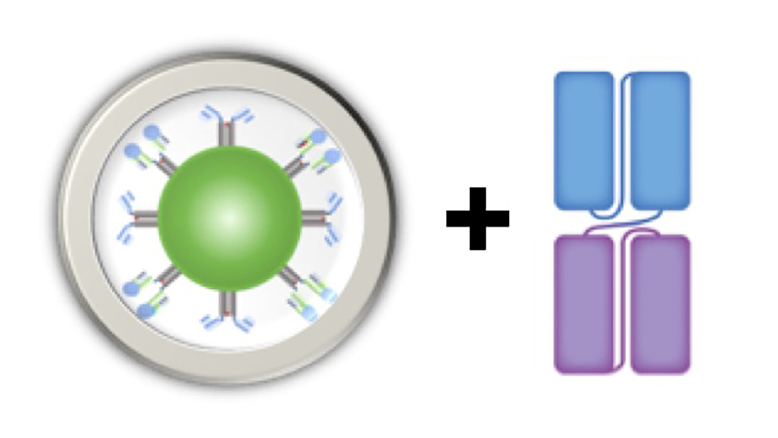 NexImmune’s Artificial Immune Modulation