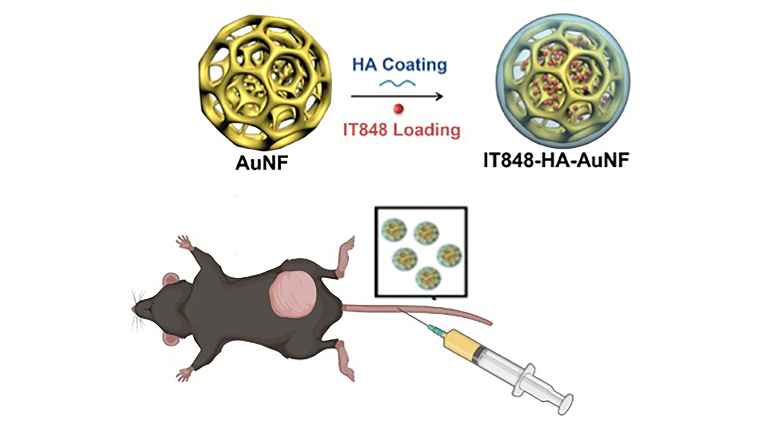 NF-κB inhibitor and a gold nanoparticle-based drug delivery system