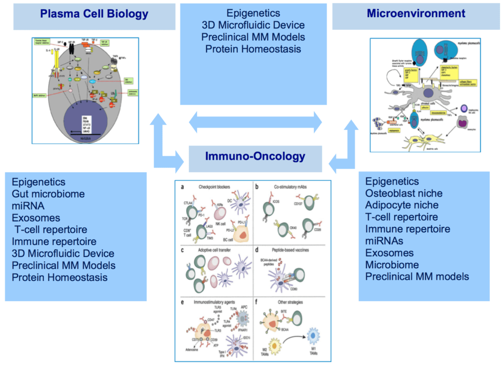 Scientific Approach Diagram