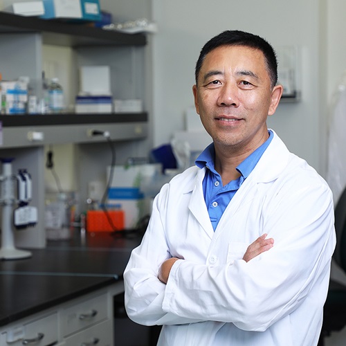 Hai-Hui “Howard” Xue, Ph.D.