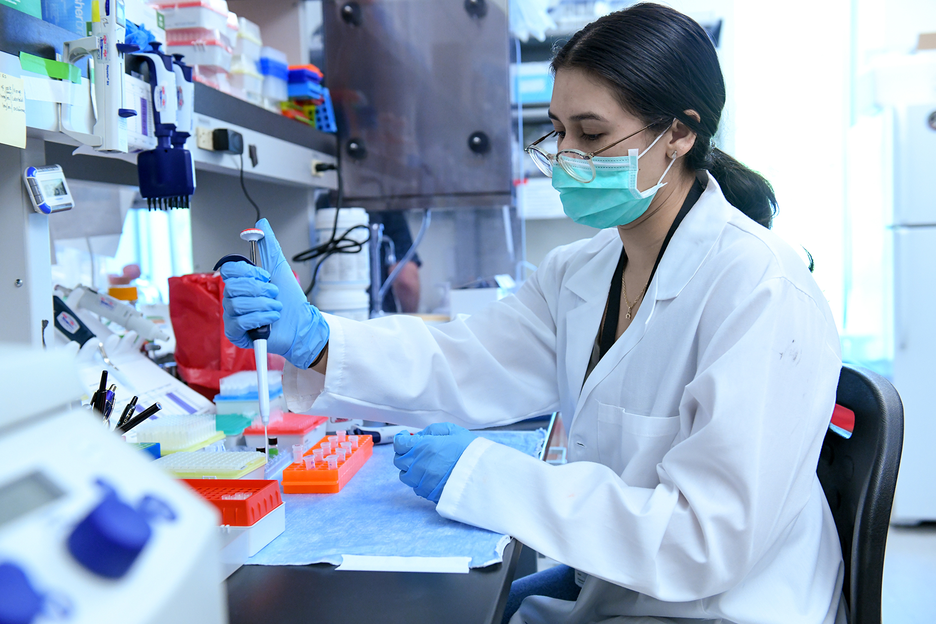 Working in the Dartois Lab