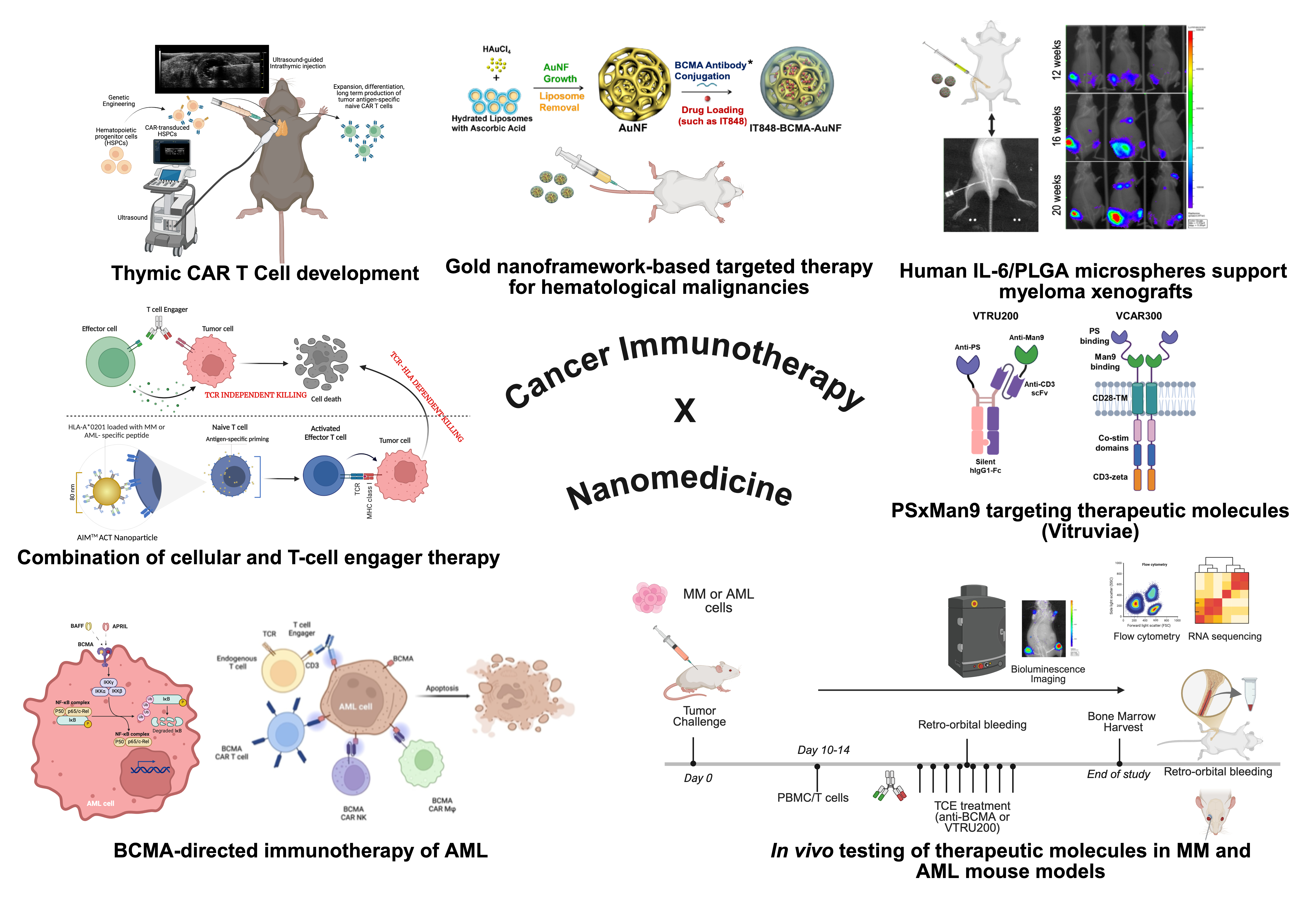 Illustration of Manpreet Bariana Research